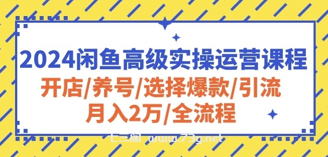 2024闲鱼高级实操运营课程：开店/养号/选择爆款/引流/月入2万/全流程-七三阁