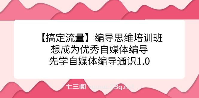 【搞定流量】编导思维培训班，想成为优秀自媒体编导先学自媒体编导通识1.0-七三阁