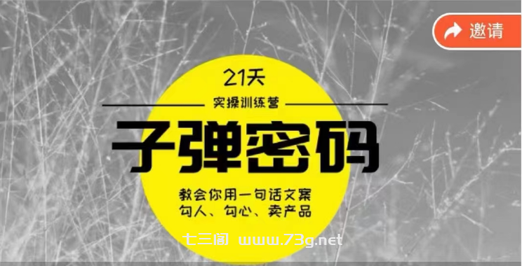 《子弹密码训练营》用一句话文案勾人勾心卖产品，21天学到顶尖文案大师策略和技巧-七三阁