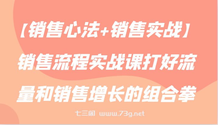 【销售心法+销售实战】销售流程实战课打好流量和销售增长的组合拳-七三阁