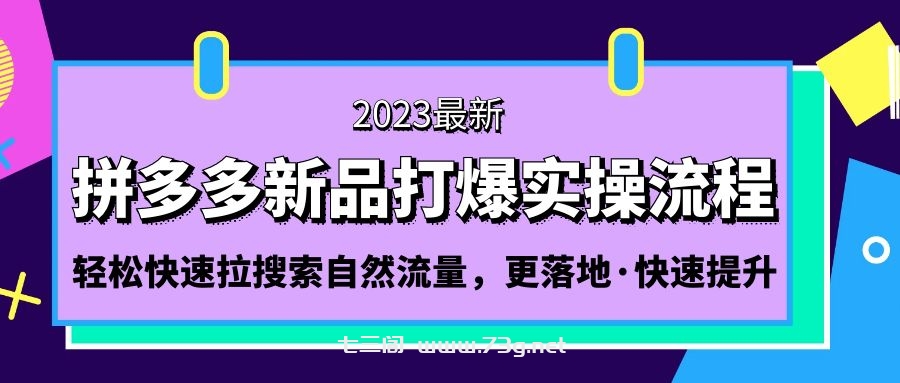 拼多多-新品打爆实操流程：轻松快速拉搜索自然流量，更落地·快速提升!-七三阁