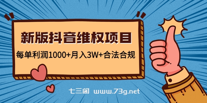 新版抖音维全项目：每单利润1000+月入3W+合法合规！-七三阁