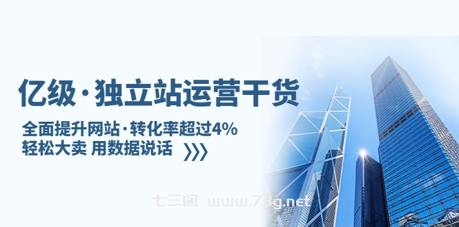 亿级·独立站运营干货：全面提升网站·转化率超过4%，轻松大卖 用数据说话-七三阁