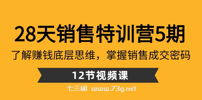 28天·销售特训营5期：了解赚钱底层思维，掌握销售成交密码（12节课）-七三阁