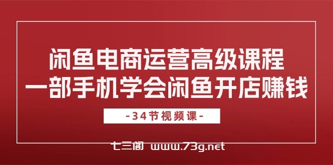 （10686期）闲鱼电商运营高级课程，一部手机学会闲鱼开店赚钱（34节课）-七三阁