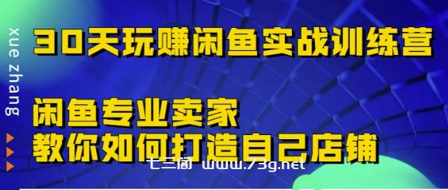 30天玩赚闲鱼实战训练营，闲鱼专业卖家教你如何打造自己店铺￼-七三阁