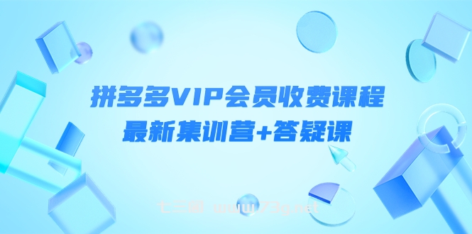 某社群·拼多多VIP会员收费课程，最新集训营+答疑课-价值3299元￼-七三阁