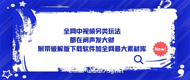 全网中视频另类玩法，都在闷声发大财，附带破解版下载软件加全网最大素材库-七三阁