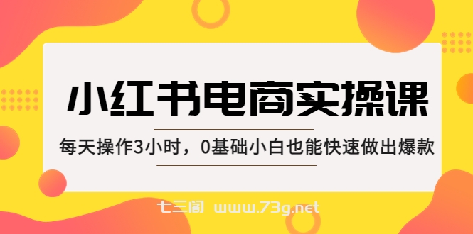 小红书·电商实操课：每天操作3小时，0基础小白也能快速做出爆款！-七三阁