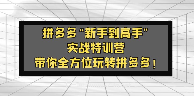 拼多多“新手到高手”实战特训营：带你全方位玩转拼多多！-七三阁