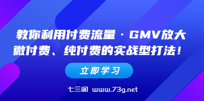 教你利用付费流量·GMV放大，微付费、纯付费的实战型打法！-七三阁