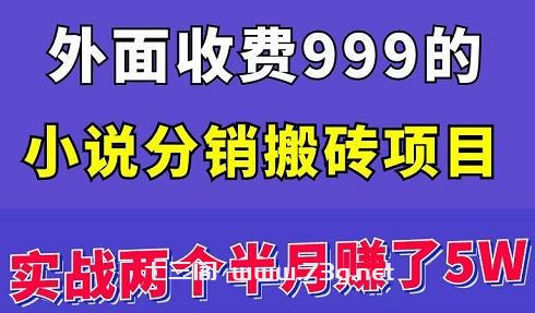 外面收费999的小说分销搬砖项目：实战两个半月赚了5W块，操作简单！￼-七三阁