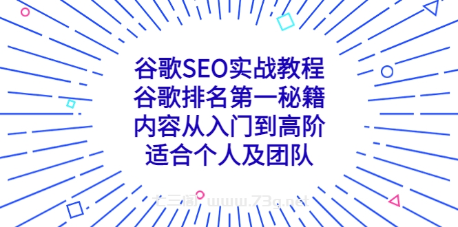 谷歌SEO实战教程：谷歌排名第一秘籍，内容从入门到高阶，适合个人及团队-七三阁