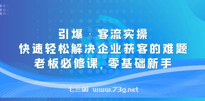 引爆·客流实操：快速轻松解决企业获客的难题，老板必修课，零基础新手-七三阁