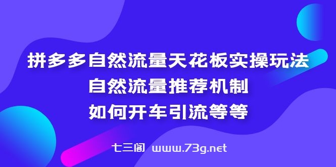 拼多多自然流量天花板实操玩法：自然流量推荐机制，如何开车引流等等-七三阁