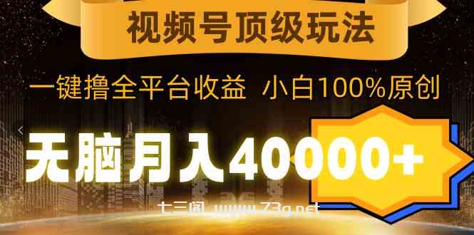 （9281期）视频号顶级玩法，无脑月入40000+，一键撸全平台收益，纯小白也能100%原创-七三阁