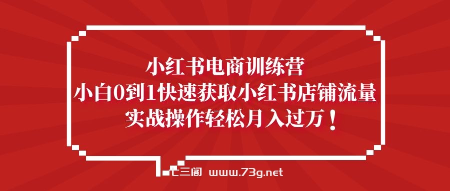 小红书电商训练营，小白0到1快速获取小红书店铺流量，实战操作月入过万-七三阁