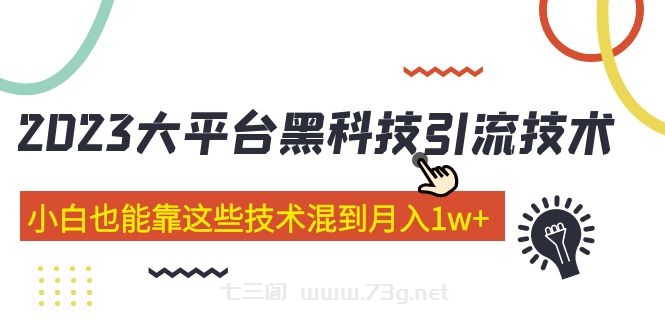 价值4899的2023大平台黑科技引流技术 小白也能靠这些技术混到月入1w+29节课-七三阁