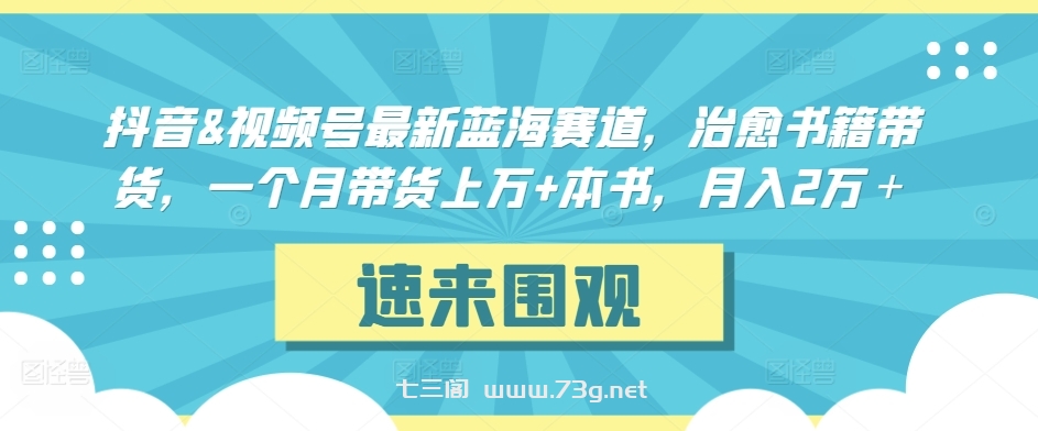 抖音&视频号最新蓝海赛道，治愈书籍带货，一个月带货上万+本书，月入2万＋-七三阁