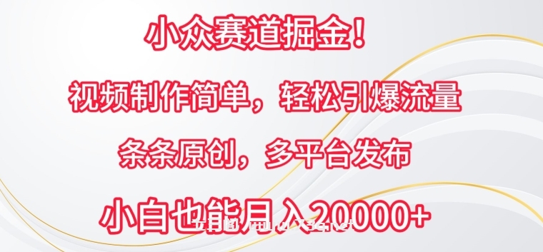 小众赛道掘金，视频制作简单，轻松引爆流量，条条原创，多平台发布-七三阁