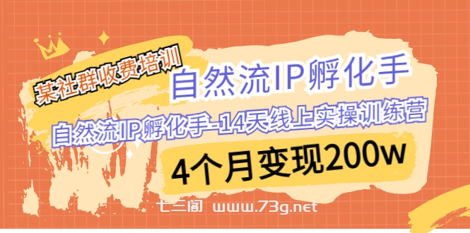 某社群收费培训：自然流IP 孵化手-14天线上实操训练营 4个月变现200w-七三阁