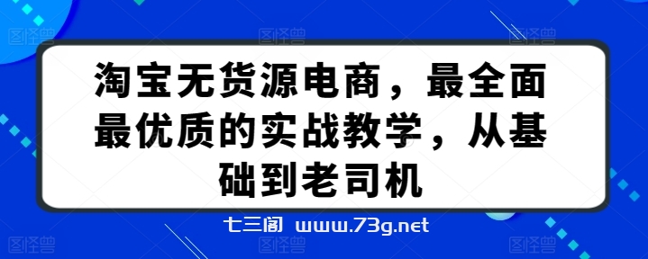 淘宝无货源电商，最全面最优质的实战教学，从基础到老司机-七三阁