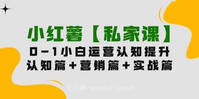 （9910期）小红薯【私家课】0-1玩赚小红书内容营销，认知篇+营销篇+实战篇（11节课）-七三阁