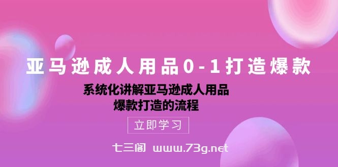 亚马逊成人用品0-1打造爆款：系统化讲解亚马逊成人用品爆款打造的流程-七三阁