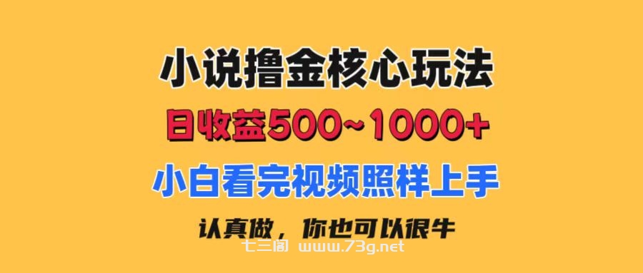 小说撸金核心玩法，日收益500-1000+，小白看完照样上手，0成本有手就行-七三阁