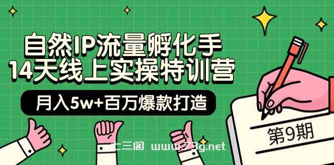 （9881期）自然IP流量孵化手 14天线上实操特训营【第9期】月入5w+百万爆款打造 (74节)-七三阁