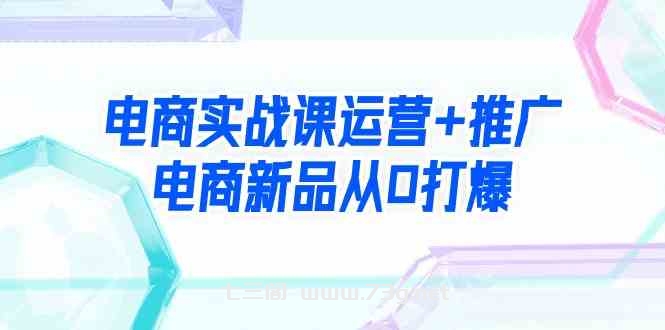 （9313期）电商实战课运营+推广，电商新品从0打爆（99节视频课）-七三阁