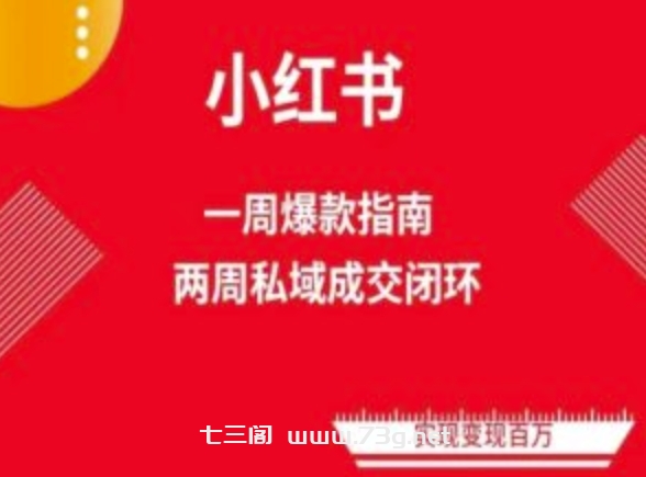 爆款小红书免费流量体系课程(两周变现)，小红书电商教程-七三阁