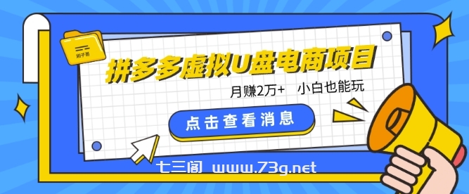 拼多多虚拟U盘电商红利项目：月赚2万+，新手小白也能玩-七三阁