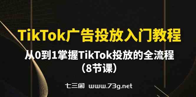 （10085期）TikTok广告投放入门教程，从0到1掌握TikTok投放的全流程（8节课）-七三阁