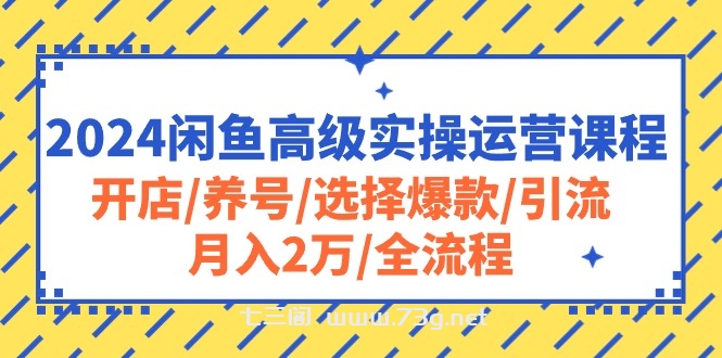 （10711期）2024闲鱼高级实操运营课程：开店/养号/选择爆款/引流/月入2万/全流程-七三阁