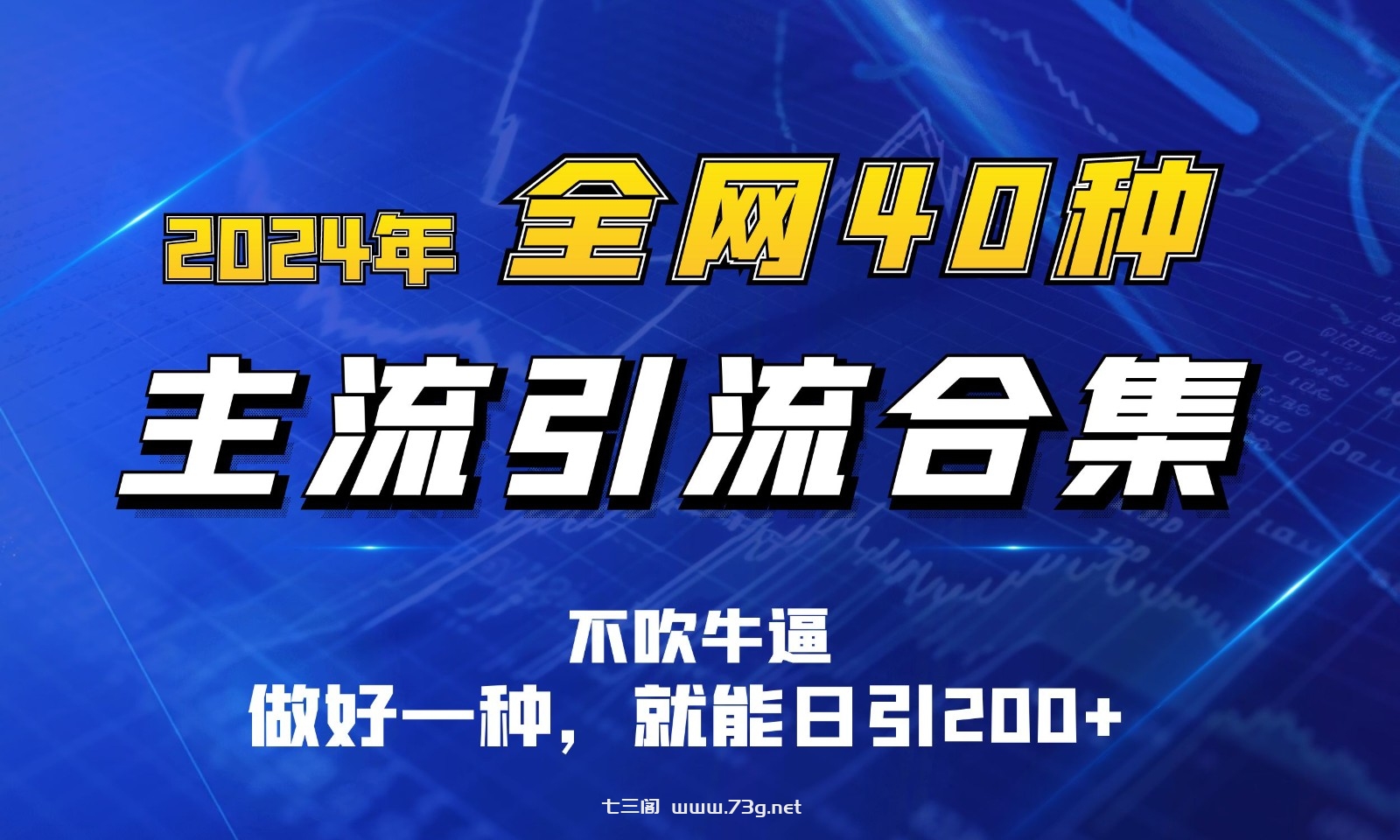 2024年全网40种暴力引流合计，做好一样就能日引100+-七三阁