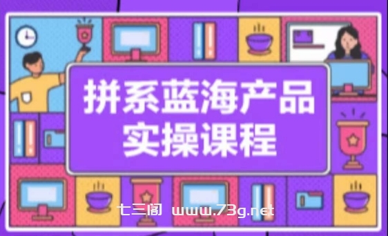 拼系冷门蓝海产品实操课程，从注册店铺到选品上架到流量维护环环相扣-七三阁