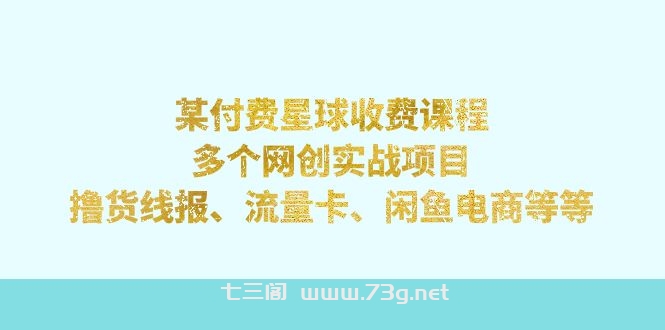 某付费星球课程：多个网创实战项目，撸货线报、流量卡、闲鱼电商等等-七三阁