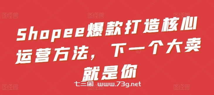 Shopee爆款打造核心运营方法，下一个大卖就是你-七三阁