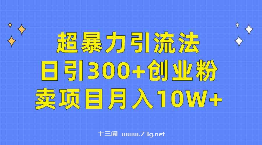 （9954期）超暴力引流法，日引300+创业粉，卖项目月入10W+-七三阁