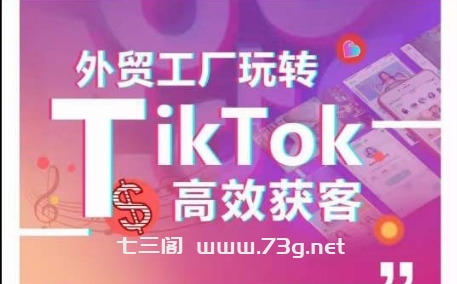 外贸工厂玩转TikTok高效获客，多种引流方式与账号定位技巧，拆解爆款短视频打造成功案例-七三阁