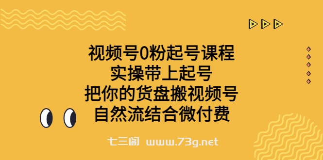 视频号0粉起号课程 实操带上起号 把你的货盘搬视频号 自然流结合微付费-七三阁