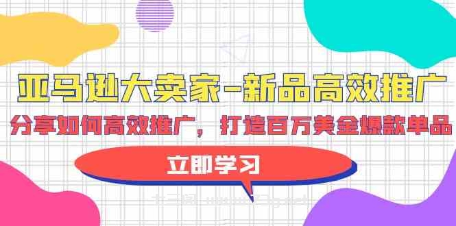 （9945期）亚马逊 大卖家-新品高效推广，分享如何高效推广，打造百万美金爆款单品-七三阁