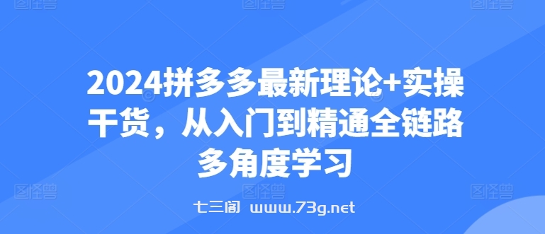 2024拼多多最新理论+实操干货，从入门到精通全链路多角度学习-七三阁