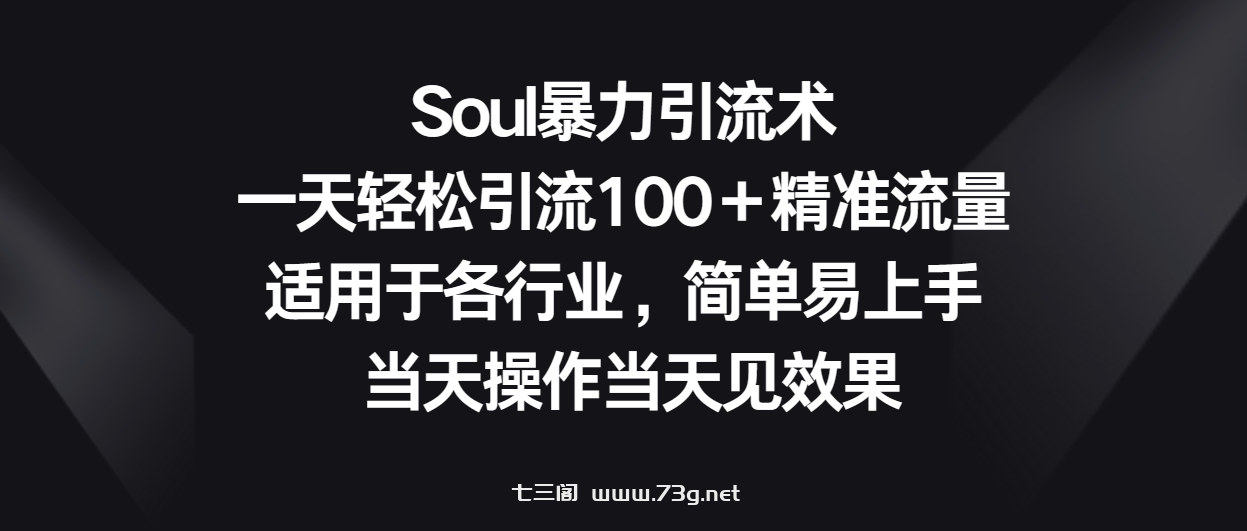 Soul暴力引流术，一天轻松引流100＋精准流量，适用于各行业，简单易上手！-七三阁