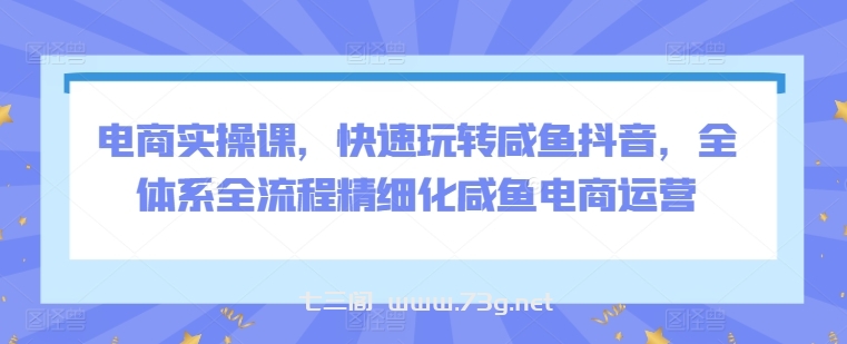 电商实操课，快速玩转咸鱼抖音，全体系全流程精细化咸鱼电商运营-七三阁