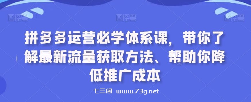 拼多多运营必学体系课，带你了解最新流量获取方法、帮助你降低推广成本-七三阁