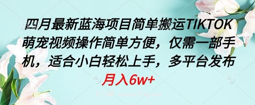 四月最新蓝海项目，简单搬运TIKTOK萌宠视频，操作简单方便，仅需一部手机-七三阁