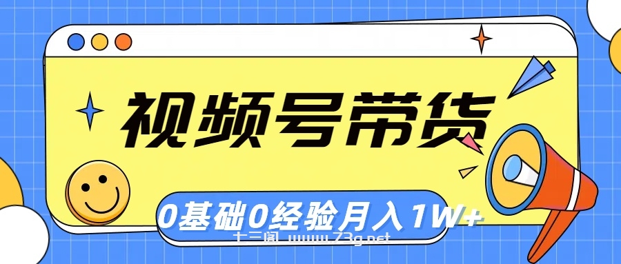 （10723期）视频号轻创业带货，零基础，零经验，月入1w+-七三阁