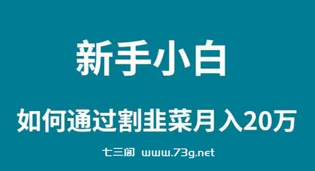 （9308期）新手小白如何通过割韭菜月入 20W-七三阁